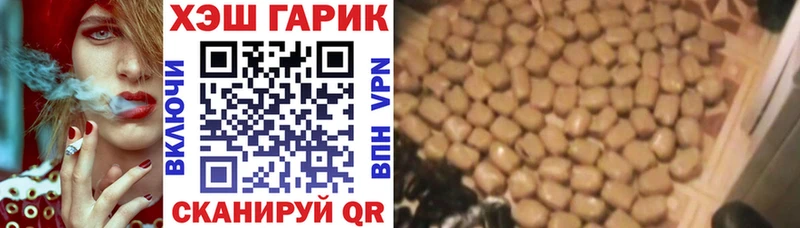 shop как зайти  Ядрин  hydra онион  ГАШ Ice-O-Lator  купить  цена 