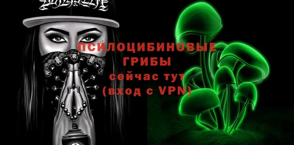 хмурый Абинск