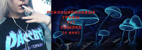 хмурый Абинск