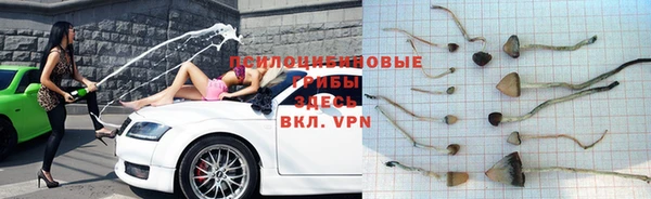 хмурый Абинск