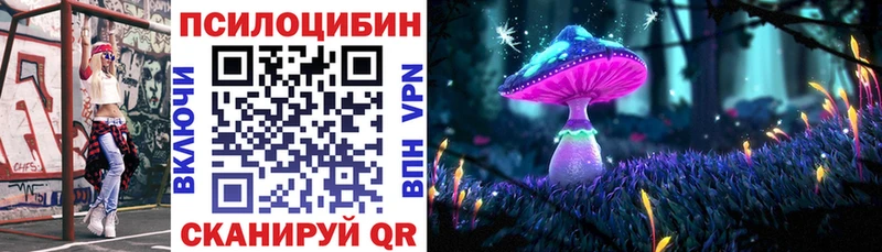 Псилоцибиновые грибы прущие грибы  blacksprut tor  Ядрин 